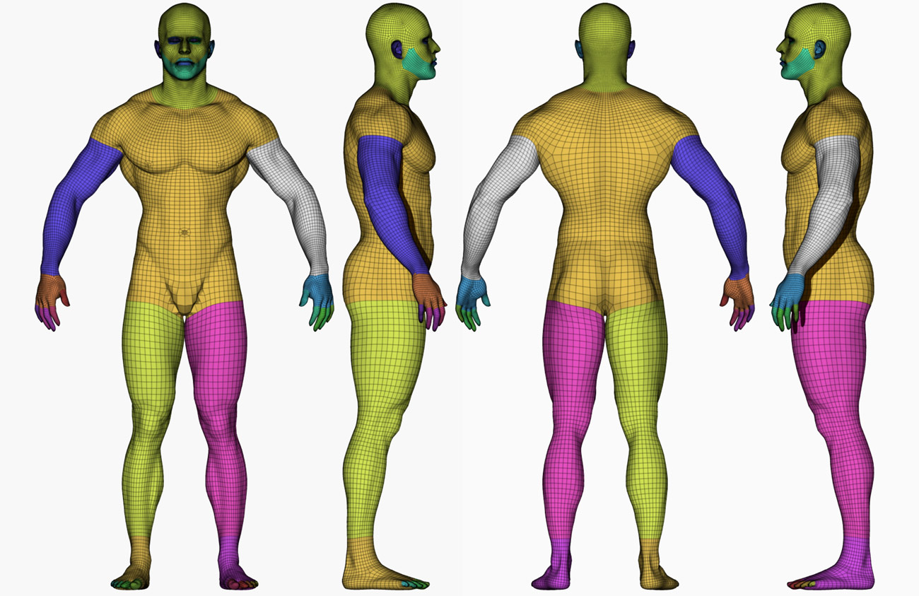 Download retopologised 3d body model for Zbrush